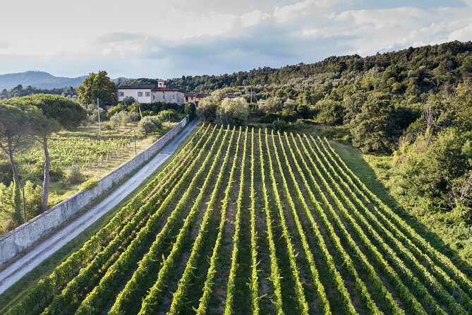 Lucca - Wine Tasting at Tenuta Mareli - Directions to Meeting Point