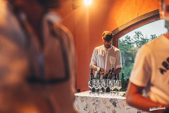 Lucca: Wine Tasting Experience - Tenuta Adamo Winery - Morning and Afternoon Tour Options