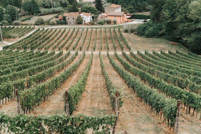 Lucca: Wine Tasting Experience - Tenuta Adamo Winery - Accessibility and Additional Information