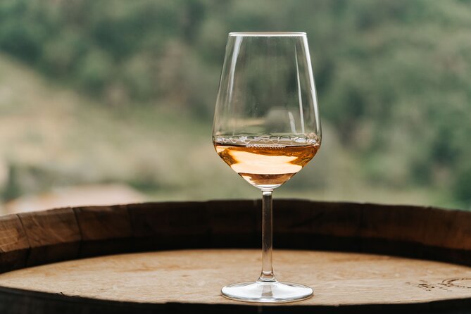 Lucca: Wine Tasting Experience - Tenuta Adamo Winery - Cancellation Policy