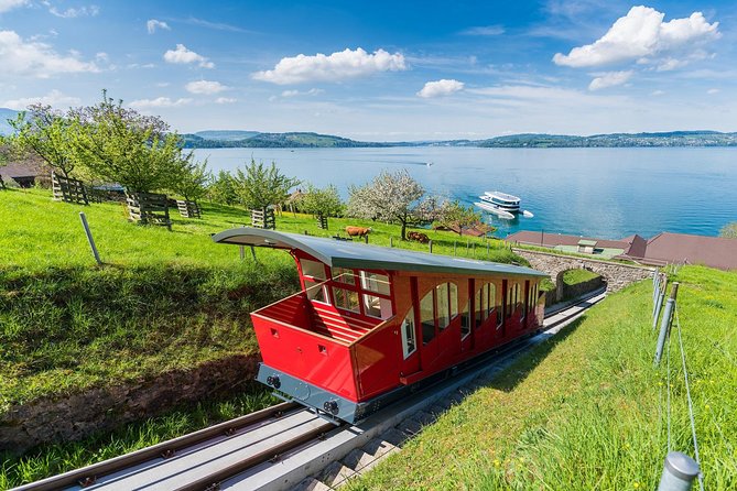 Lucerne and Bürgenstock Day Trip From Zurich - Meeting and Pickup Information