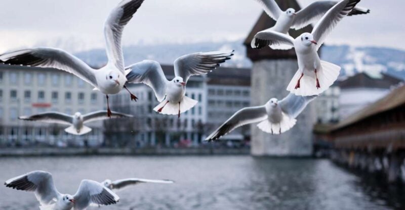 Lucerne: City Exploration Game and Tour - Detailed Itinerary