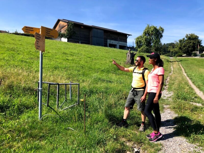Lucerne: Farm Tour and Cheese Tasting - Tour Highlights