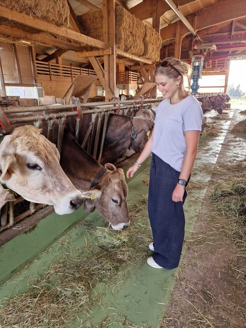 Lucerne: Farm Tour and Cheese Tasting - Getting to the Meeting Point