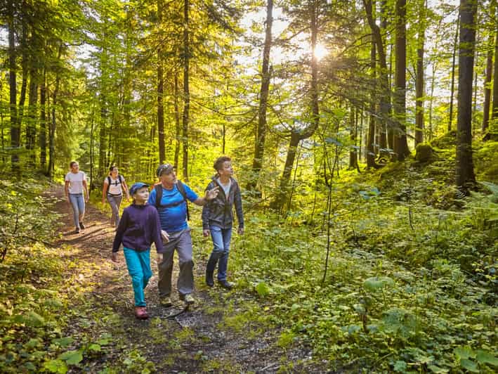Lucerne: Guided Hike on the Pilatus With Barbecue Experience - Preparation and Requirements