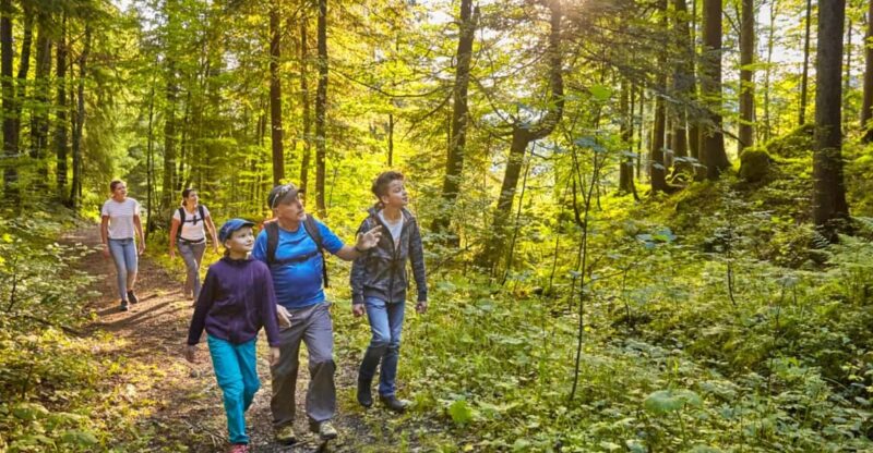 Lucerne: Guided Hike on the Pilatus With Barbecue Experience - Customer Feedback