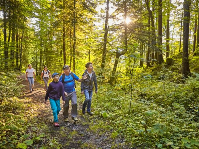 Lucerne: Guided Hike on the Pilatus With Barbecue Experience - Guided Hike to Tomlishorn
