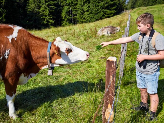 Lucerne: Guided Hike on the Pilatus With Barbecue Experience - Frequently Asked Questions
