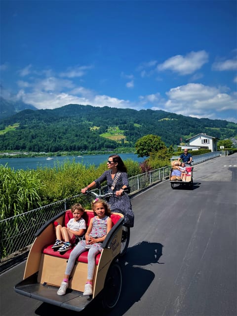 Lucerne: Hidden Gems Lucerne Public E-Bike Tour - Cultural Immersion