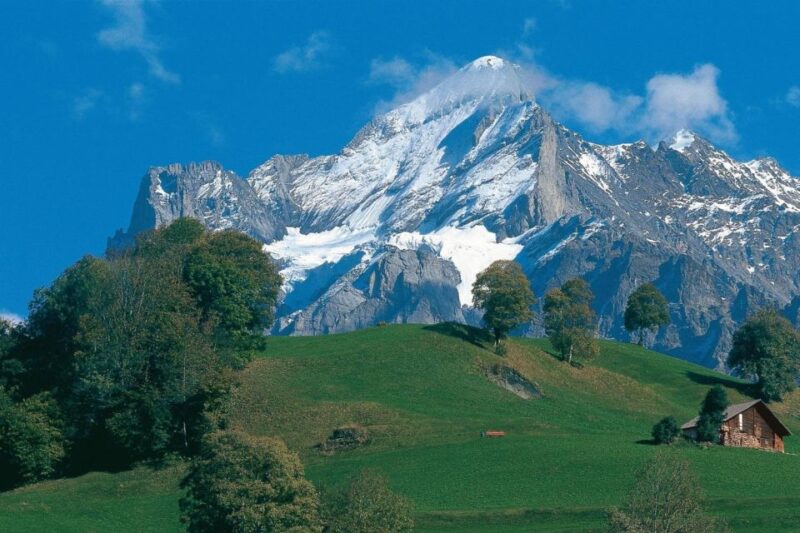 Lucerne: Interlaken and Grindelwald Swiss Alps Day Trip - Visiting Grindelwald