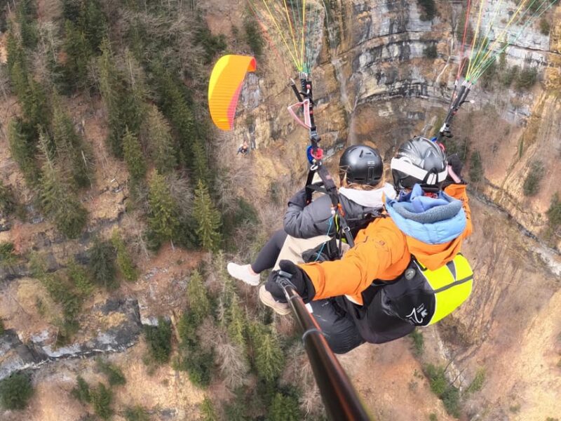 Lucerne: Paragliding Tandem Flights - Booking Information