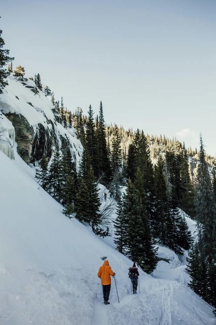 Lucerne: Snowshoe Hiking Adventure to Glaubenberg Langis - Snowshoe Hiking Experience
