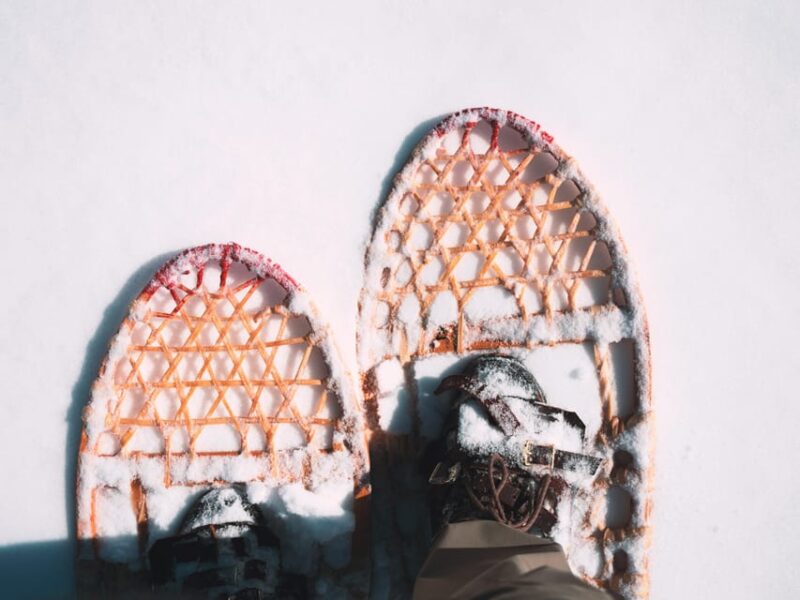 Lucerne: Snowshoe Hiking Adventure to Glaubenberg Langis - Scenic Viewpoints and Picnic