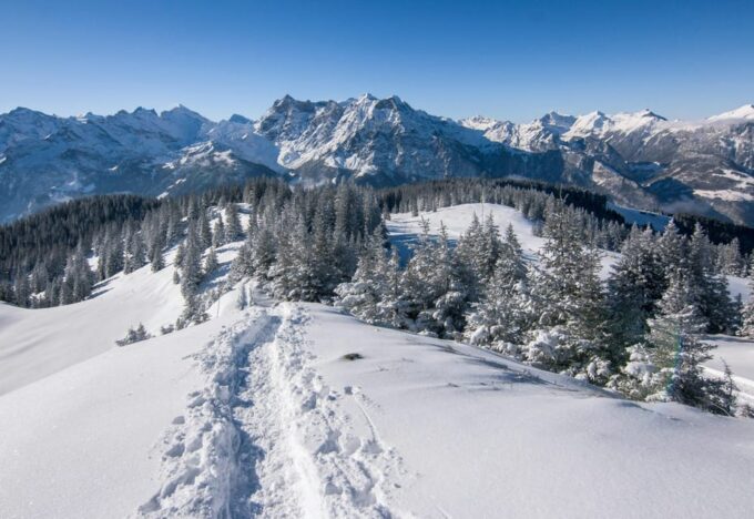 Lucerne: Snowshoe Hiking Adventure to Glaubenberg Langis - The Return Journey