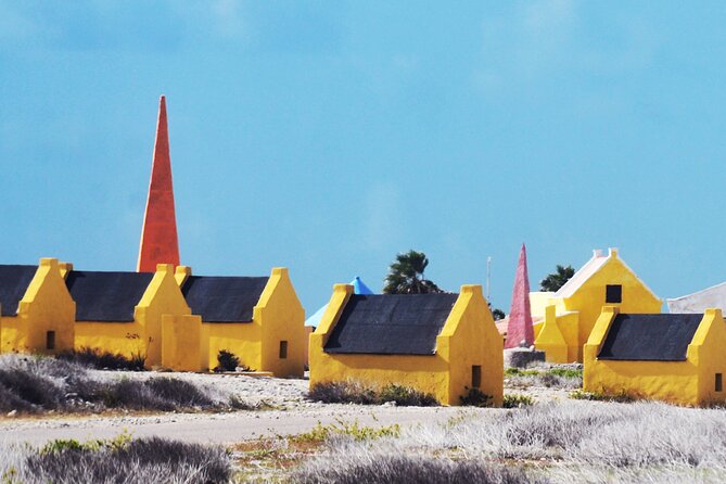 Lucs Private Group Bonaire Open Bus Tour - Accessibility and Participation