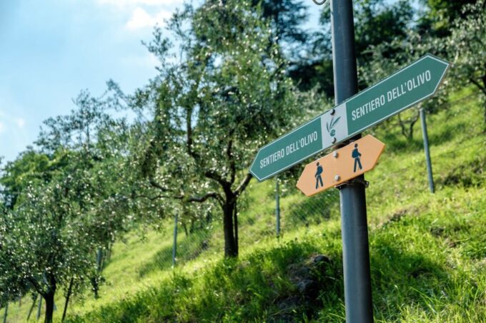 Lugano: Guided Walking Tour to Gandria With Boat Cruise - Cultural Insights From Guide