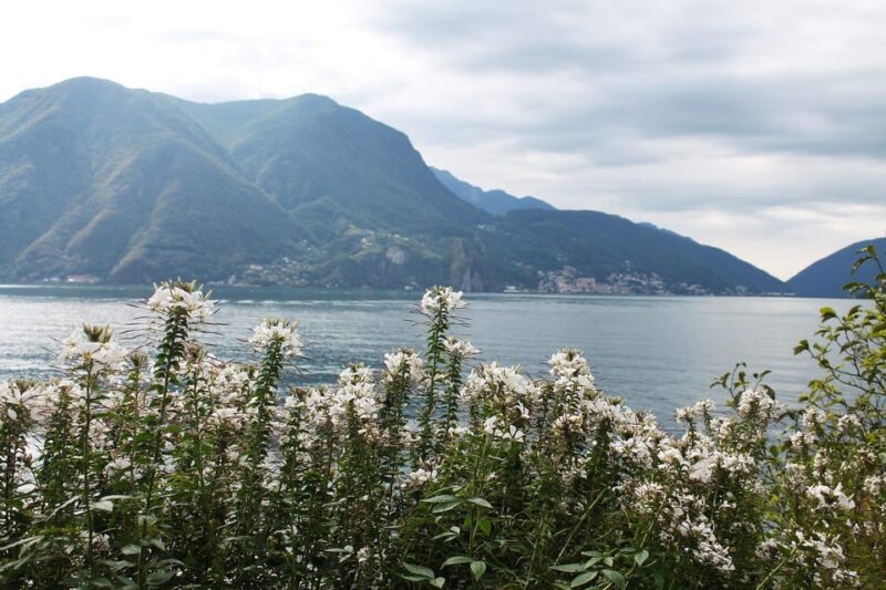 Lugano - Private Walking Tour - Key Points