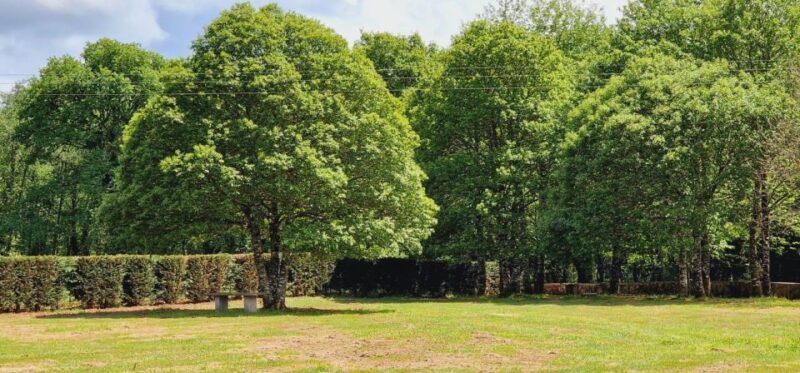 Lugo: Terra Chá and Lugo Cheese Excursion. Galicia - Itinerary