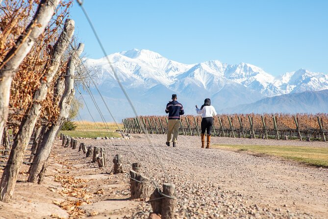Lujan Deluxe - Full Day - Premium Wine Tour With Gourmet Lunch - Important Details