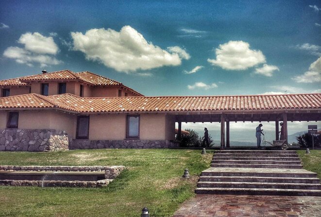 Lujan Deluxe - Full Day - Premium Wine Tour With Gourmet Lunch - Discover Boutique Wineries