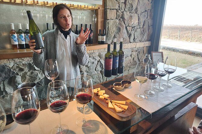 Luján Wine Tasting Guided Experience With Lunch - Key Points