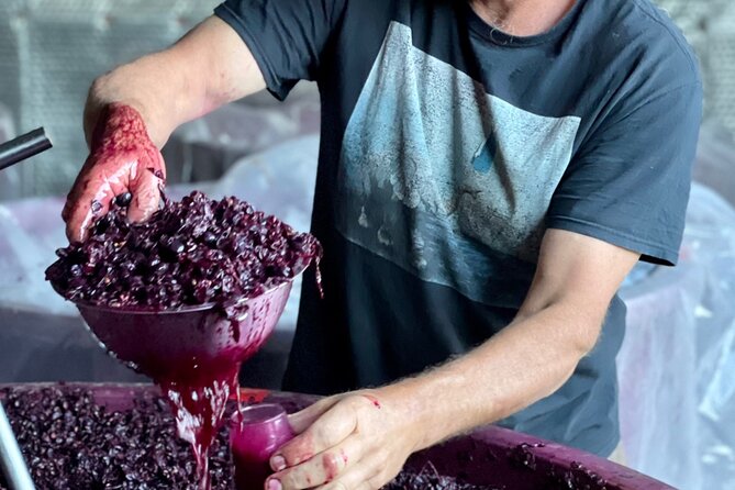 Lukes McLaren Vale Wine Tour - Customer Feedback
