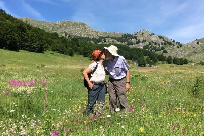 Lukomir Nomad Village Hiking From Sarajevo - Local Lunch Included - Reviews and Ratings