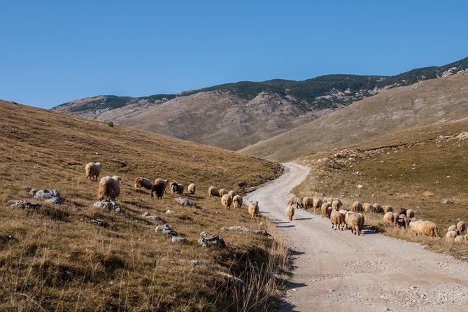 Lukomir Village Tour - From Sarajevo - Meeting and Pickup Details