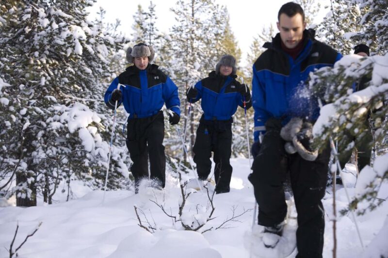 Luleå : Nordic Winter Skills - 3 Hours Including Lunch - Good To Know