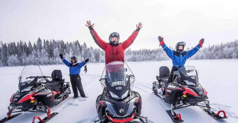 Luleå: Snowmobile - Forest and Ice Nature Tour 2h - Equipment and Safety