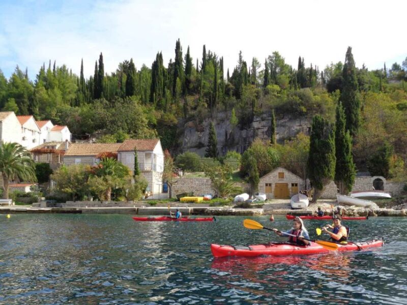 Lumbarda: Half-Day Kayaking and History With Wine Delight - Good To Know