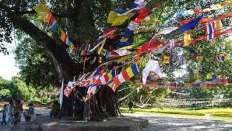 Lumbini Full Day Tour With Guide - Significance of Lumbini
