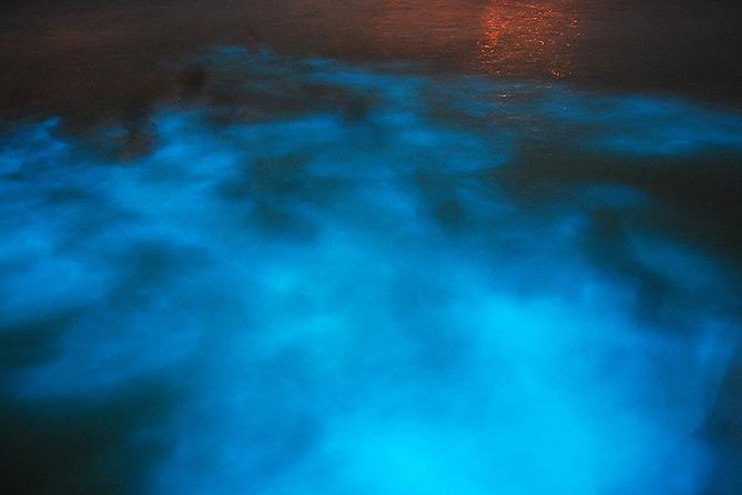 Luminous Lagoon and Rose Hall Great House Private Night Tour - Booking Details