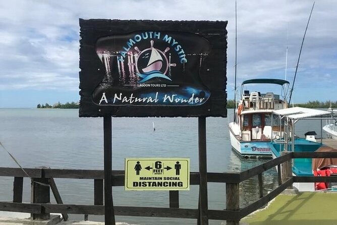 Luminous Lagoon Dark Night Tour From Ocho Rios and Runaway Bay Hotels - Tour Details and Inclusions