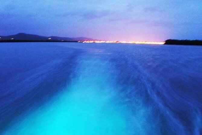 Luminous Lagoon From Runaway Bay - Tour Overview and Details
