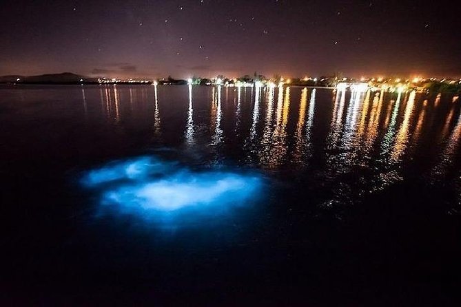 Luminous Lagoon From Runaway Bay - Tour Experience and Expectations