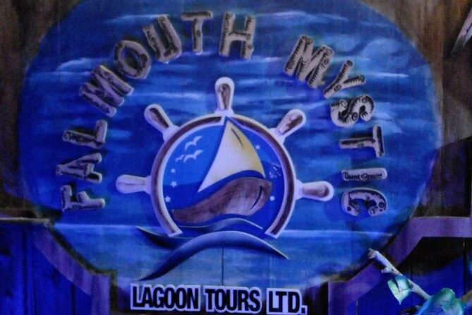 Luminous Lagoon Glistening Water Night Tour by Boat - Highlights of the Experience