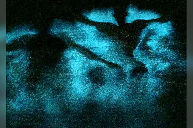 Luminous Lagoon (Glistening Waters) and Rose Great House Haunted Night Tour - Personalized Tour Experience
