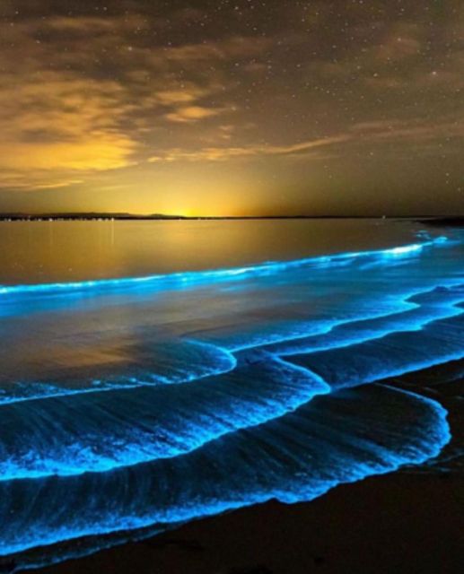 Luminous Lagoon Glistening Waters Night Tour - Exploring the Luminous Waters