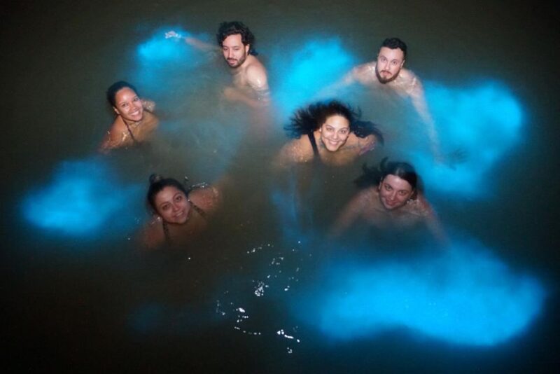 Luminous Lagoon Glistening Waters Night Tour - Bioluminescent Microorganisms and Glow