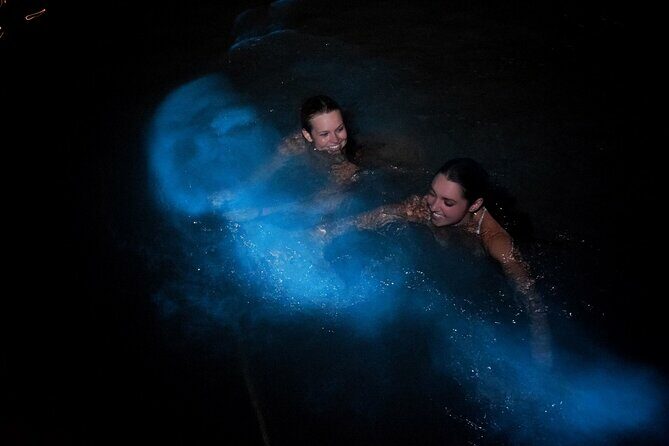 Luminous Lagoon (Glistening Waters) Night Tour - Who Will Love This Tour?
