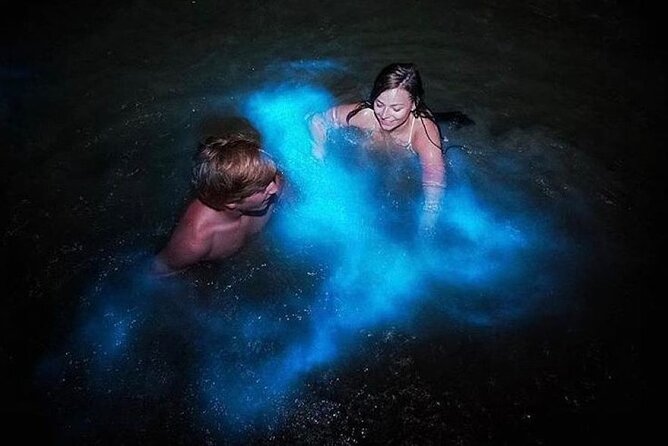 Luminous Lagoon Glistening Waters Tour From Falmouth - About Your Stay