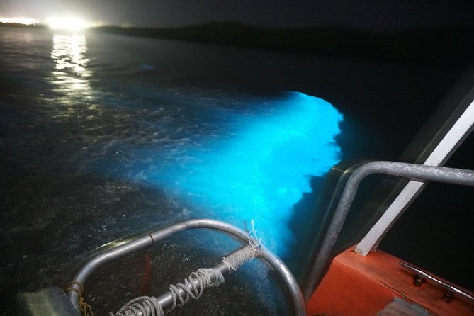 Luminous Lagoon Glistening Waters Tour From Falmouth - Pickup and Dropoff