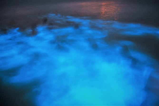 Luminous Lagoon Glistening Waters Tour From Falmouth - Tour Highlights