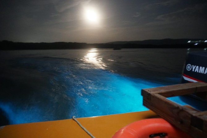 Luminous Lagoon Glistening Waters Tour From Falmouth - Frequently Asked Questions