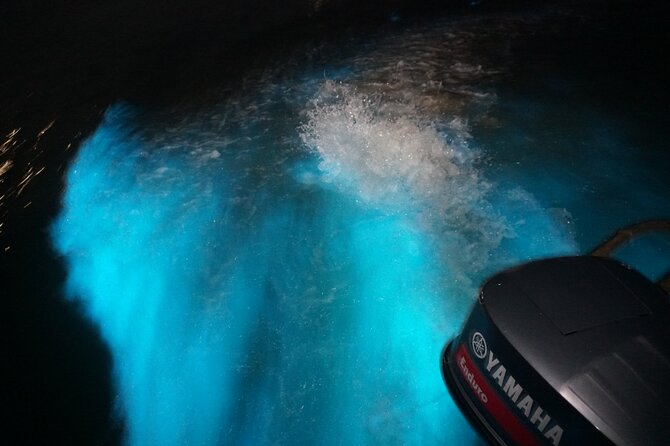 Luminous Lagoon Mystic - What to Expect on the Tour