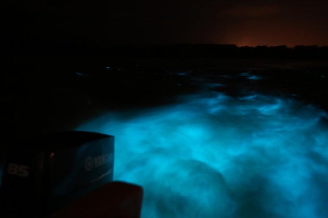 Luminous Lagoon-Night Tour (Falmouth, Ocho Rios or Montego) - About Your Stay