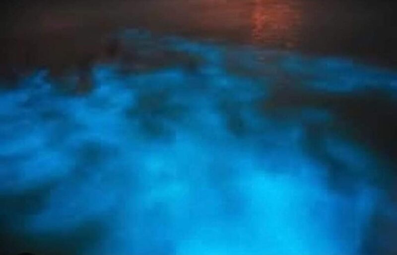 Luminous Lagoon : Night Tour From Falmouth Hotels and Villas - What to Bring