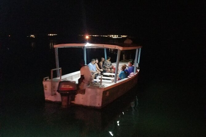 Luminous Lagoon Night Tour From Montego Bay - Experience Expectations