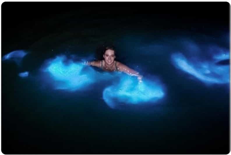 Luminous Lagoon : Night Tour From Ocho Rios and Runaway Bay - Booking Information